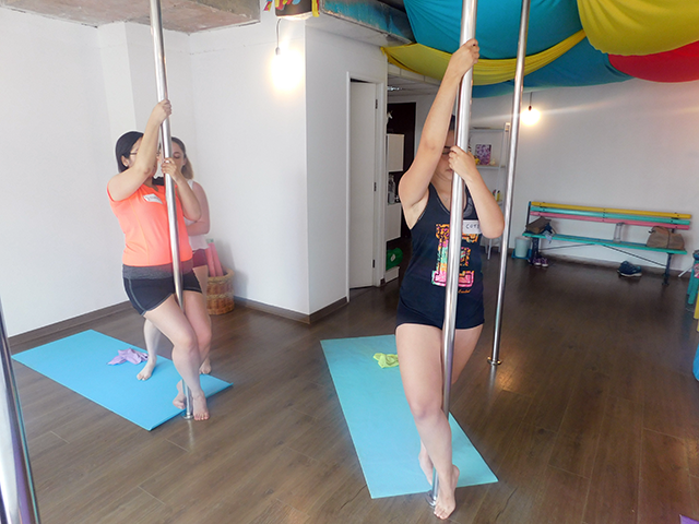 pole dance enero 2019 10