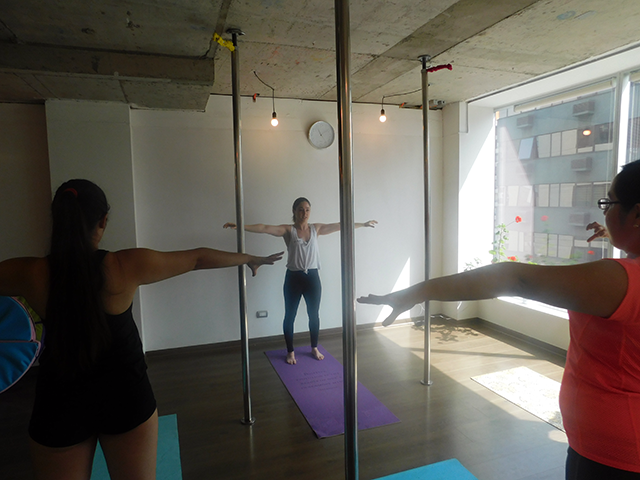 pole dance enero 2019 9