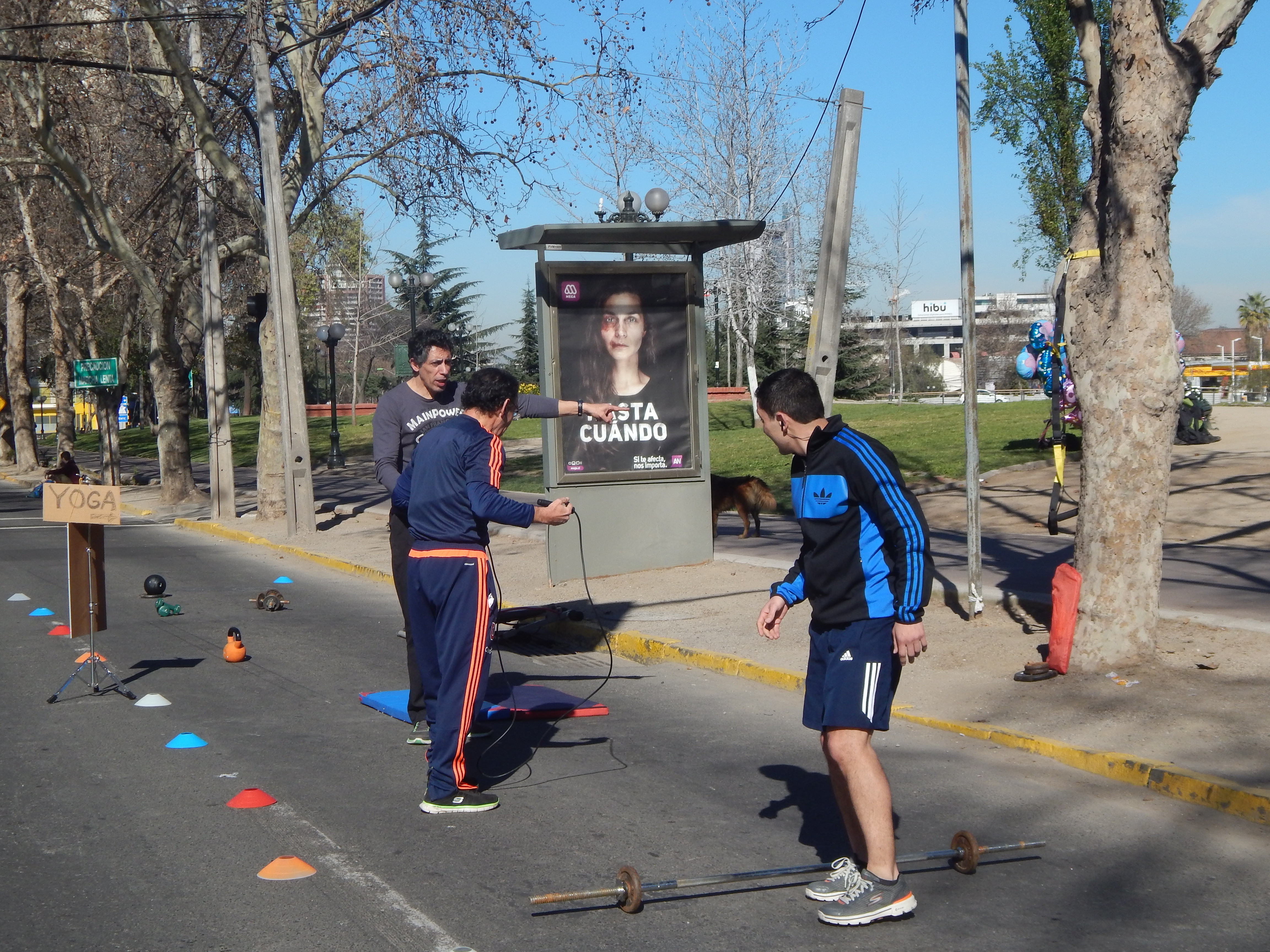 stand II cyc, 2016 (45)