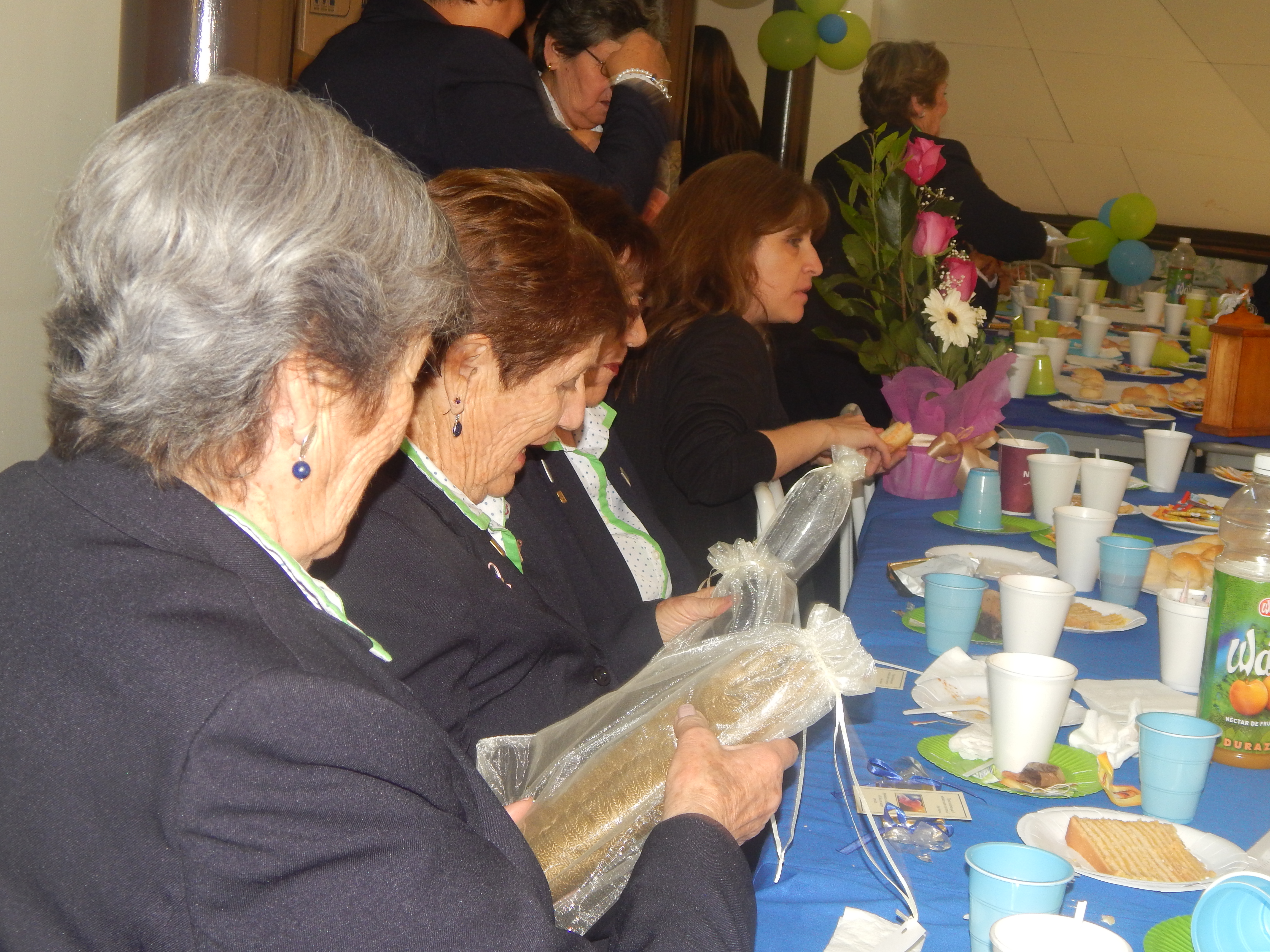 voluntariado 17 años (65)