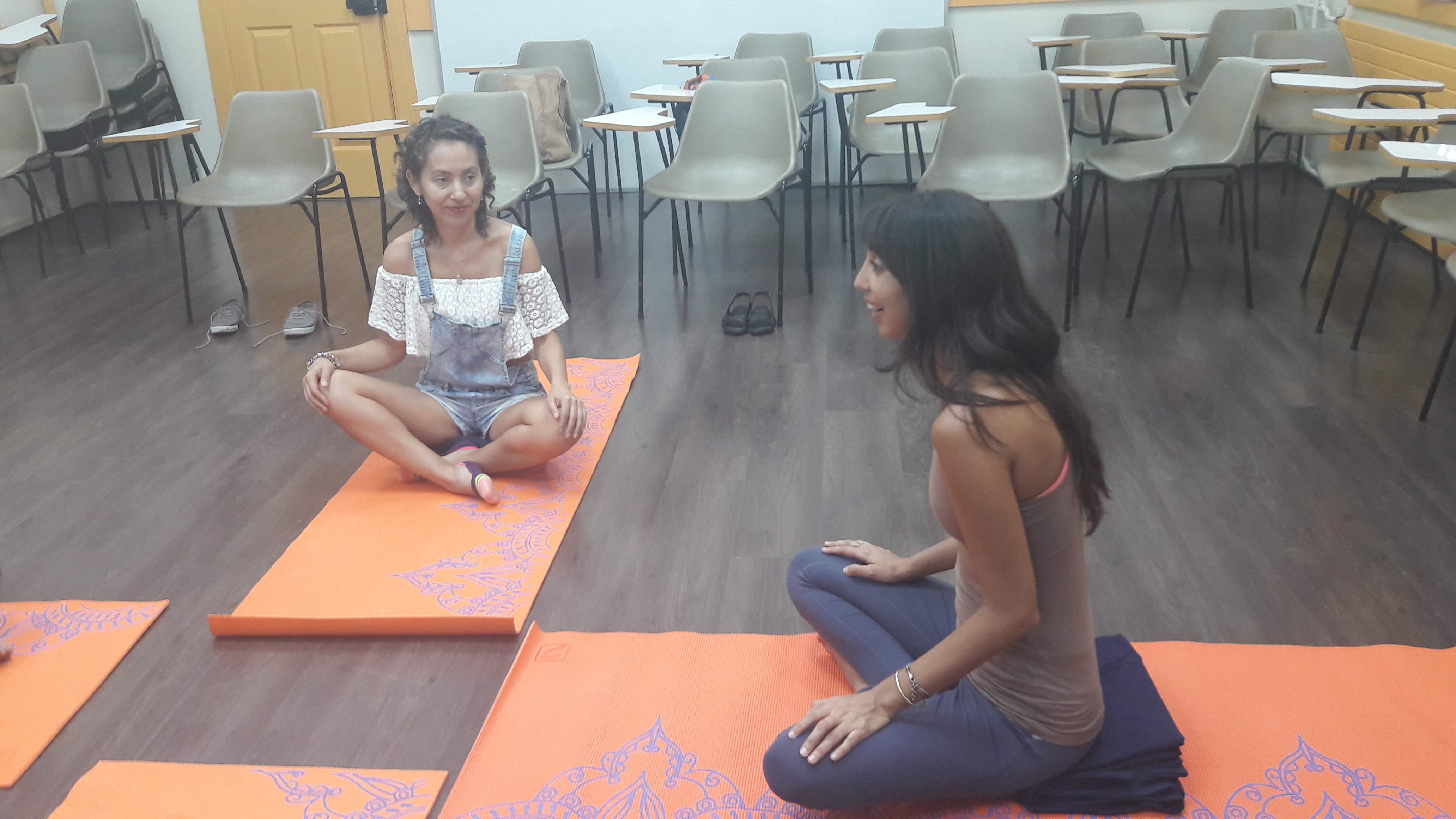 yoga medicina, II taller, marzo 2017 (15)