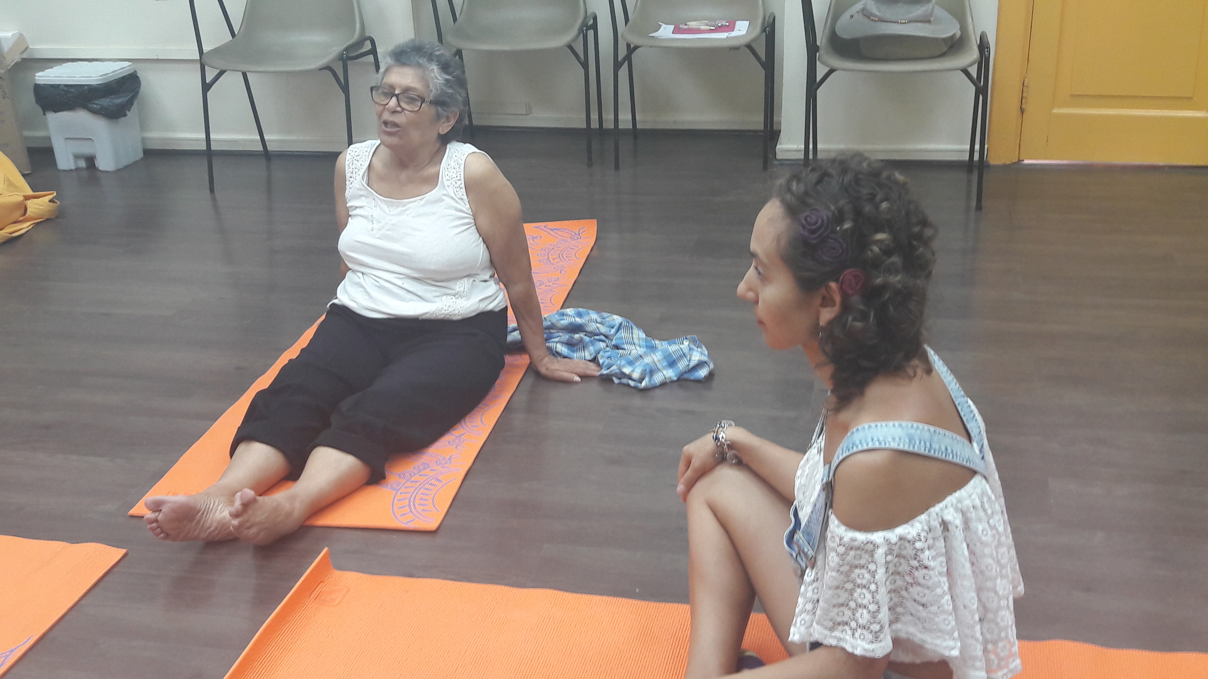 yoga medicina, II taller, marzo 2017 (17)