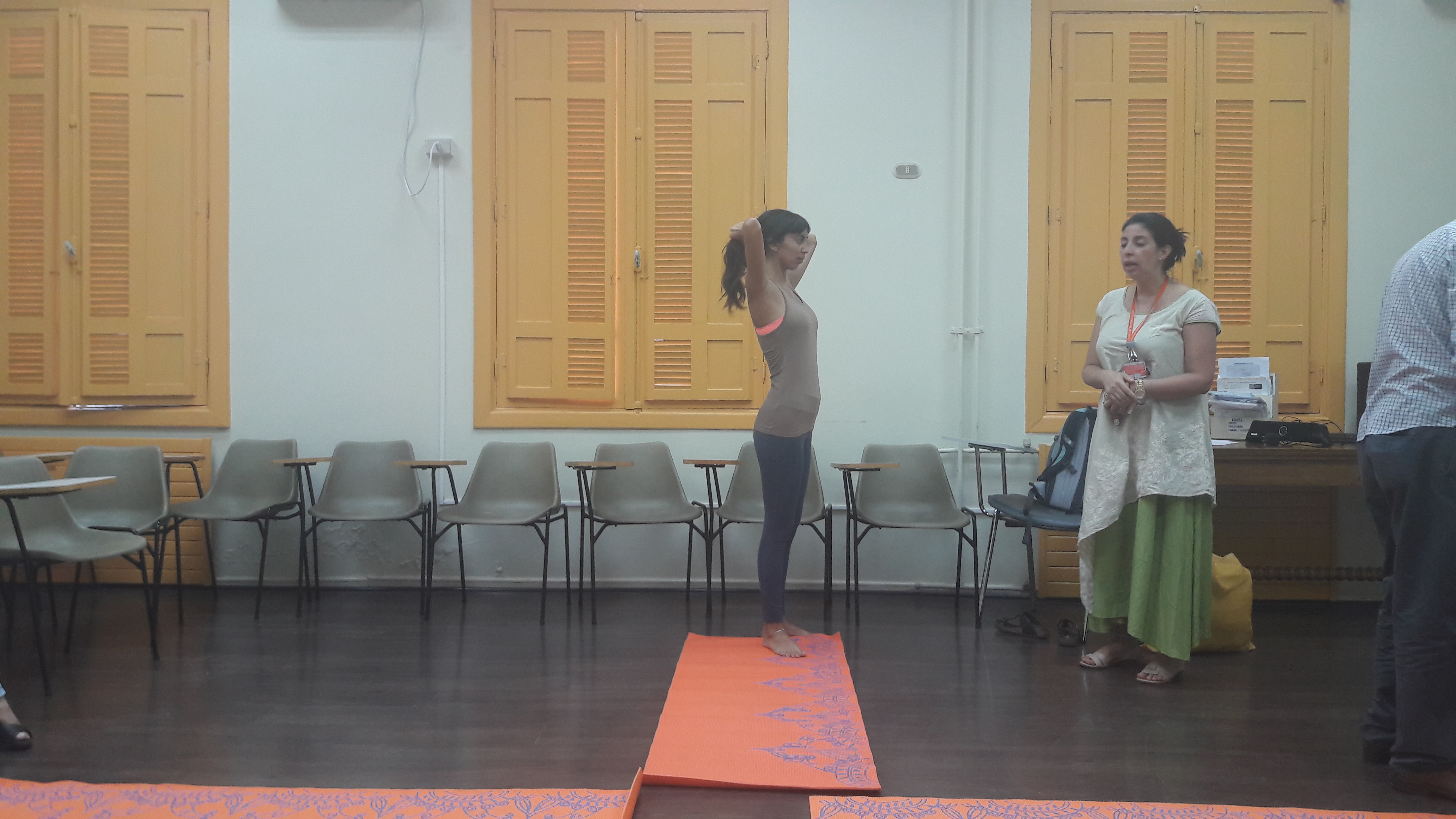 yoga medicina, II taller, marzo 2017 (5)